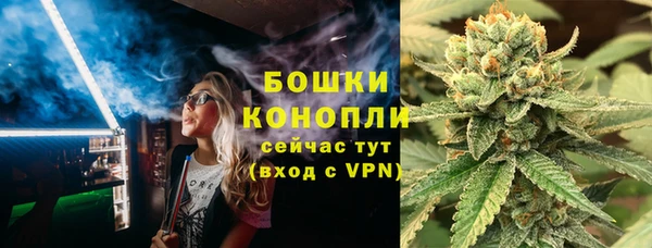 стафф Ростов