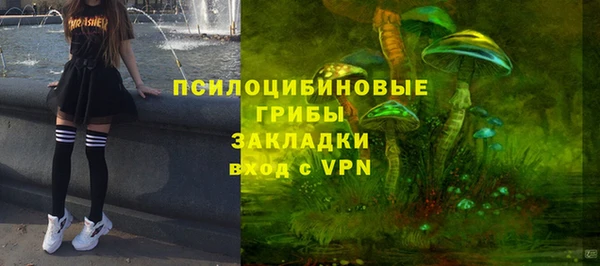 метадон Бородино