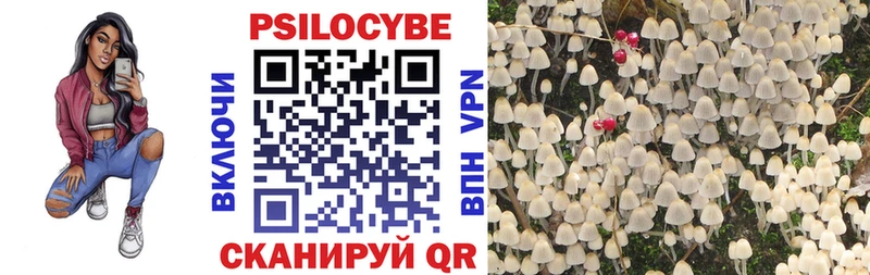 как найти   Тотьма  Галлюциногенные грибы MAGIC MUSHROOMS 